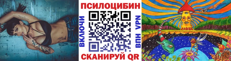 Псилоцибиновые грибы GOLDEN TEACHER  Электросталь 